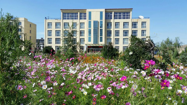 液压架柱式钻机在永智煤矿